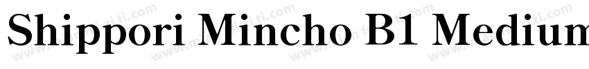 Shippori Mincho B1 Medium字体转换